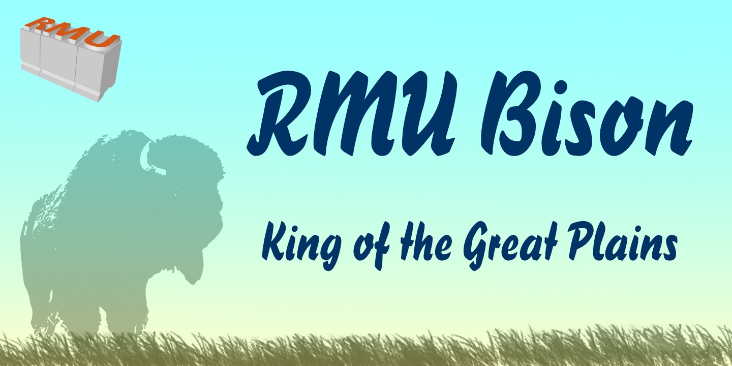 RMU Bison